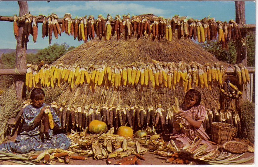Corn Shucking by Native Americans