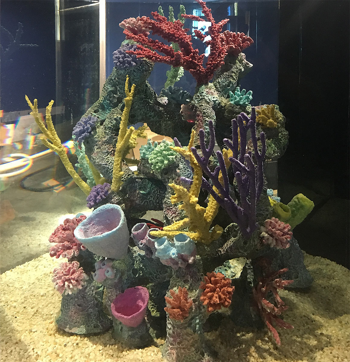 The Dauphin Sea Lab is one of the most interesting science museums in the entire state, to help show and teach the public the state’s marine programs. 