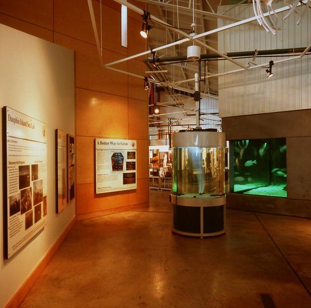 Exhibits at The Dauphin Sea Lab