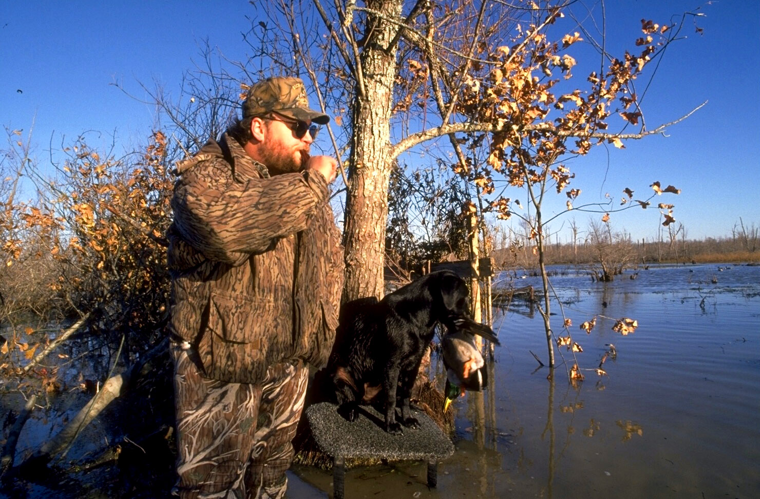 Hunter and his Dog in the Wetlands