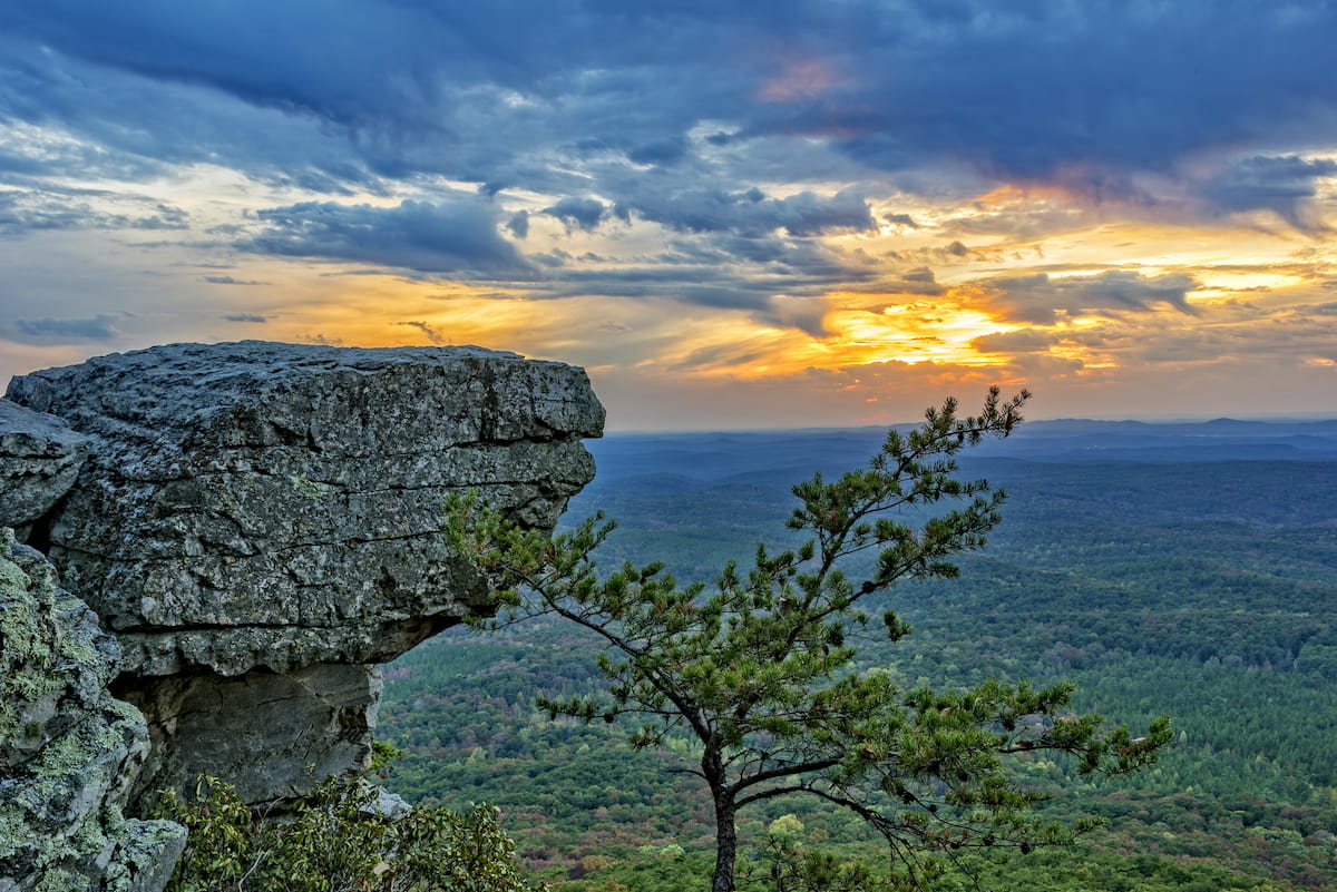 The Talladega National Forest is one of the four forests in the state, and it is one the largest. 