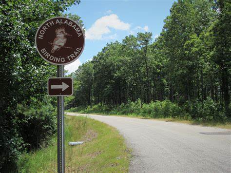 sign at north Alabama birding