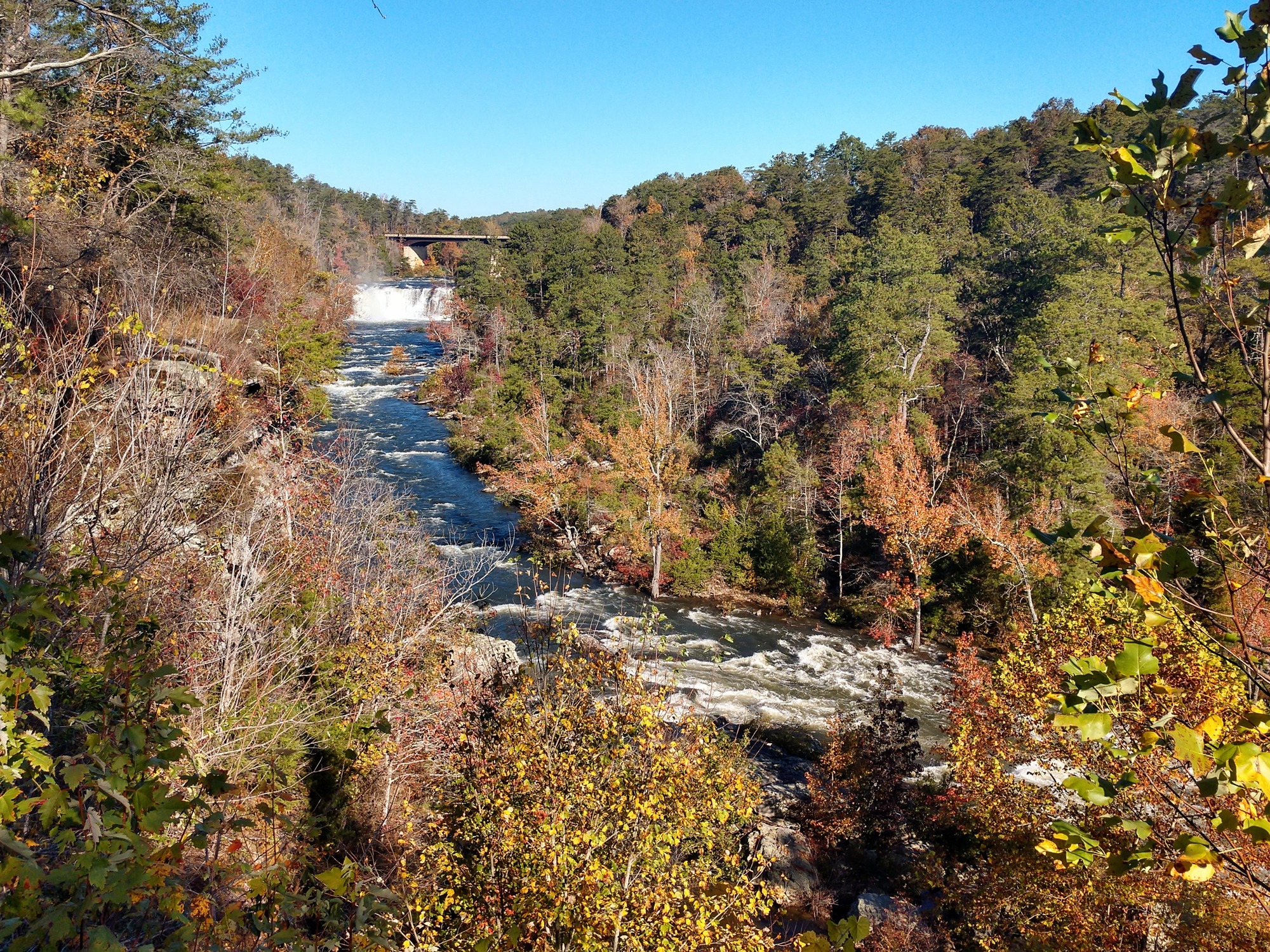 The Little River Canyon National Preserve is a beautiful park that protects over 14,000 acres of rugged mountainous country sitting on top of Lookout Mountain.