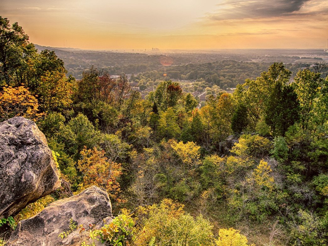Ruffner Mountain is not only a beautiful setting of nature; it is also very unique for one major reason.