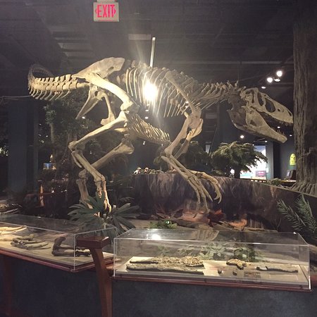 Dinosaurs at The McWane Science Center
