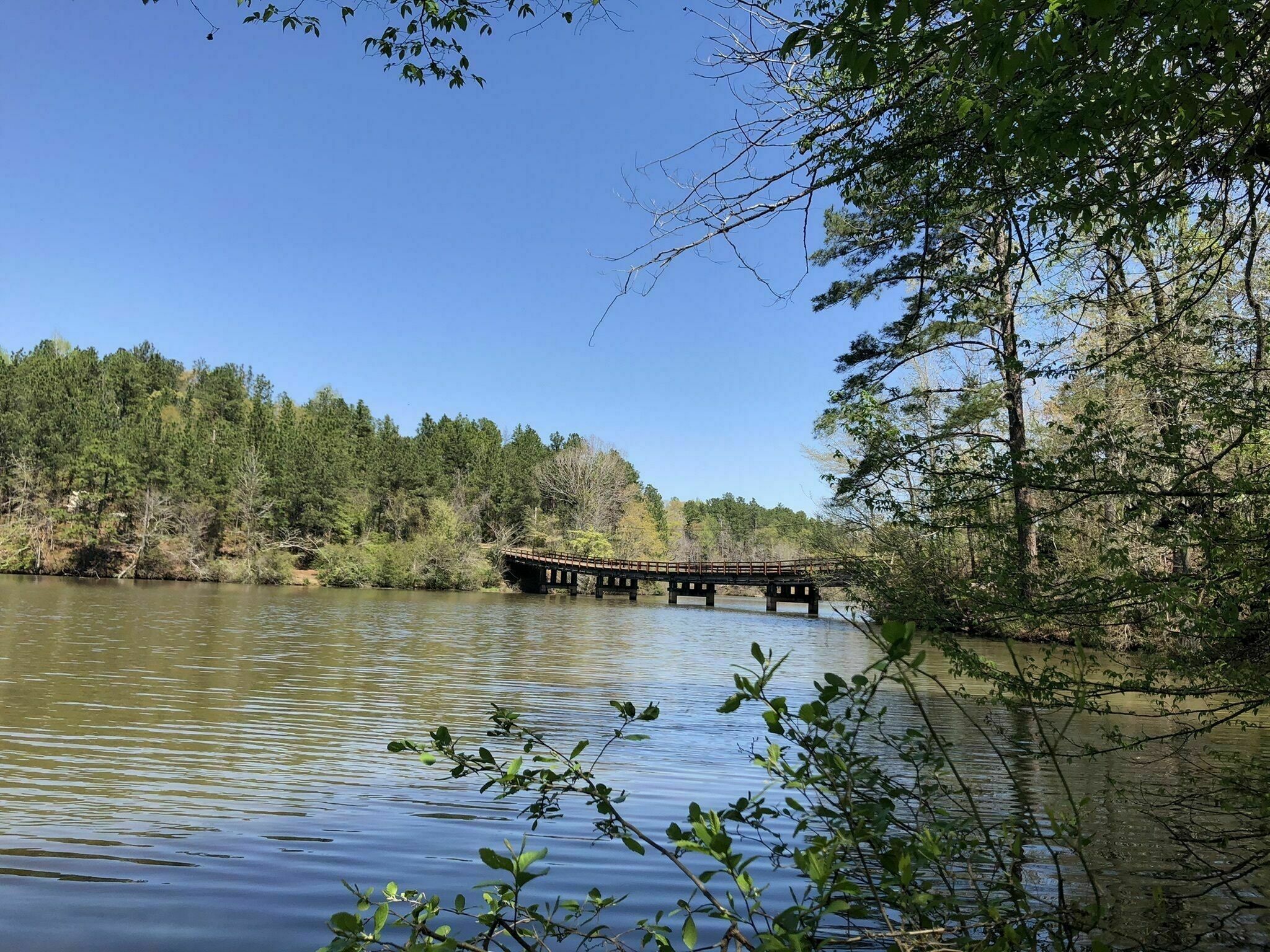 The Alabama Scenic River Trail starts at the beginning of the state at the Alabama and Georgia Line, in the Coosa River. 