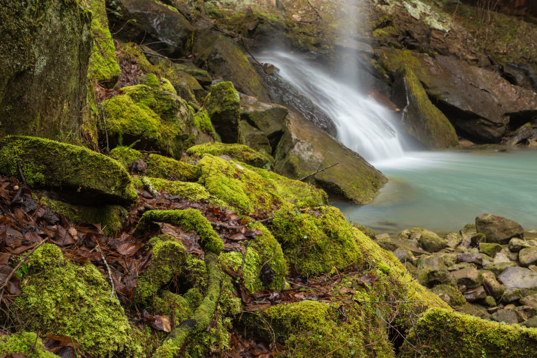 Small Waterfall in the National Forests