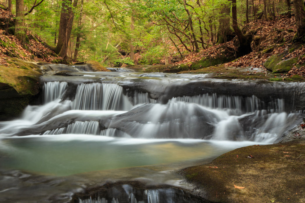 Gentle Springs in the National Forests of Alabama