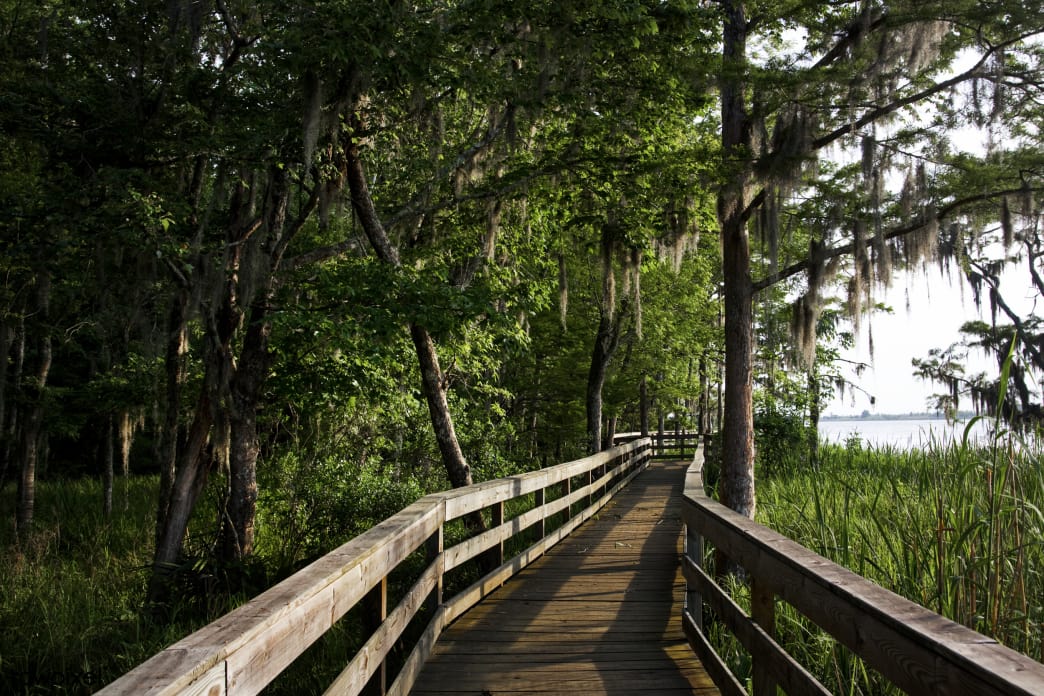 Bridge and Trail at the Park