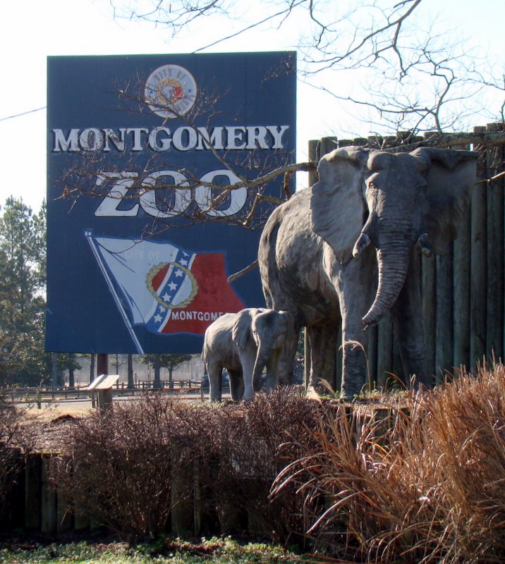 The Sign at The Montgomery Zoo