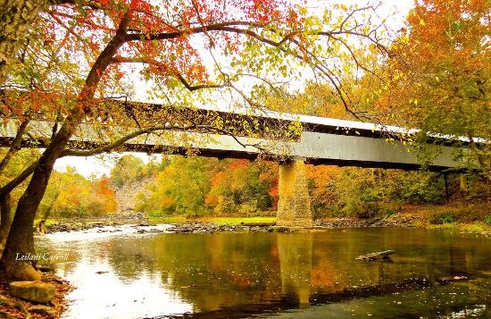 The Swann Covered Bridge in Blount County Alabama
