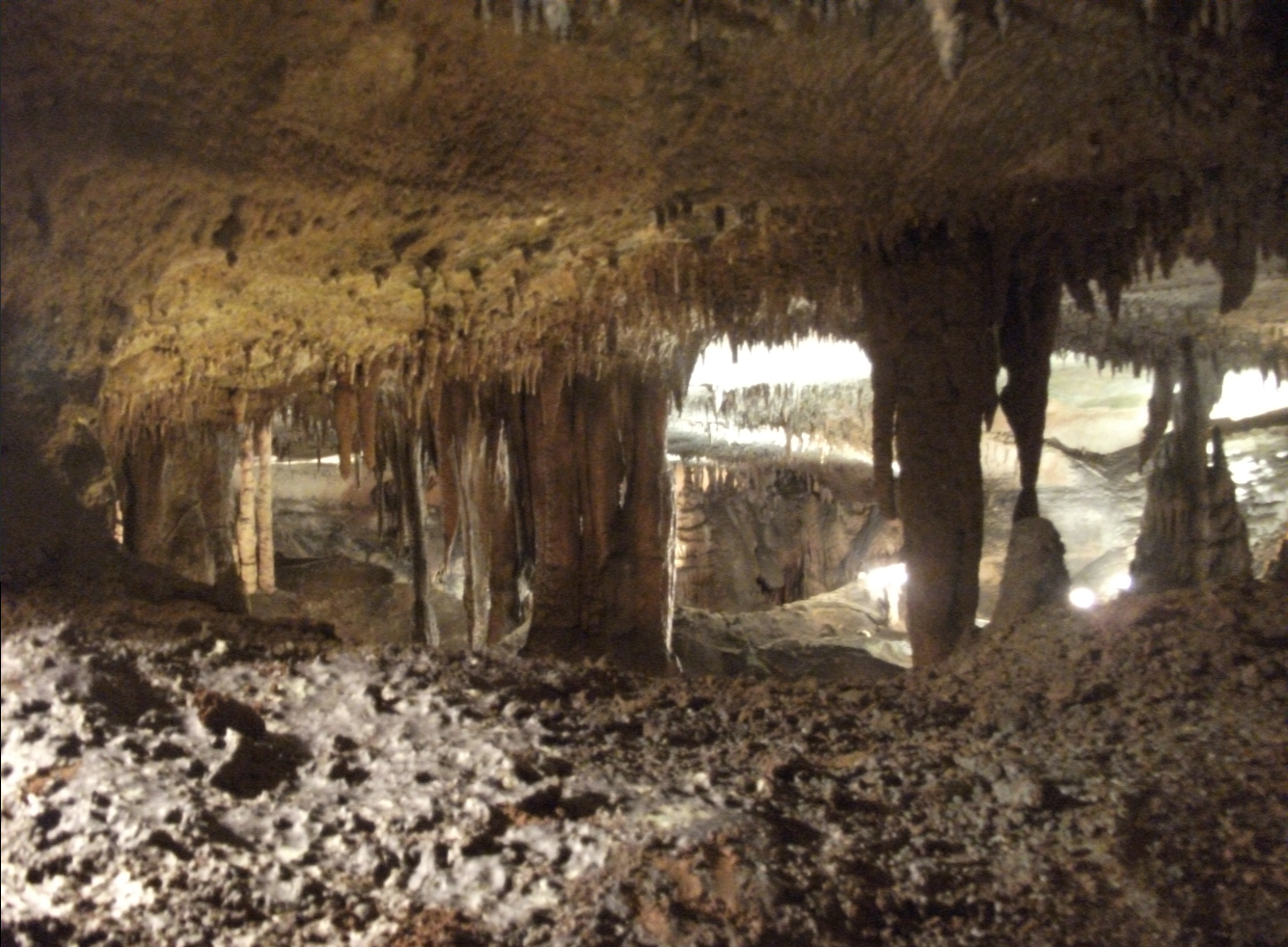 The Rickwood Caverns State Park is one of the most unique parks not only in the state of Alabama, but in the entire southeast. 