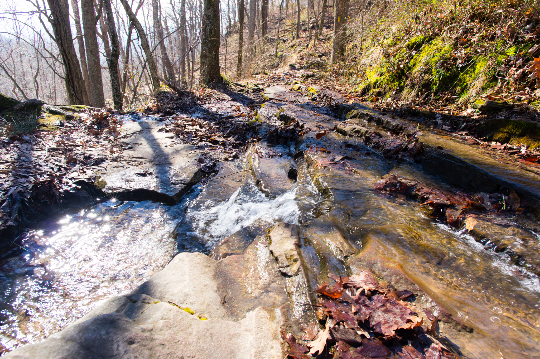 Creek at Monte Sano State Park