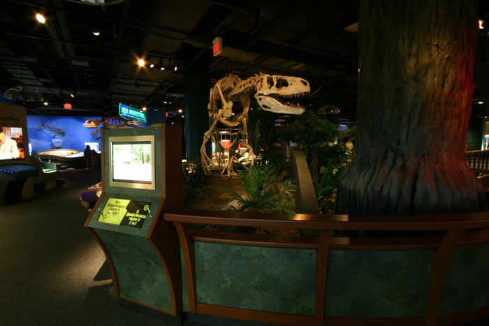 Display at The McWane Science Center