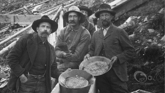 Gold Miners In Alabama