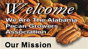 Alabama Pecan Growers Logo